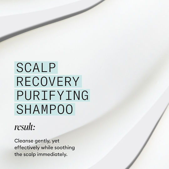 Nioxin Scalp Recovery Шампоан Против Пърхот Себореен Дерматит и Суха Кожа 1000ml