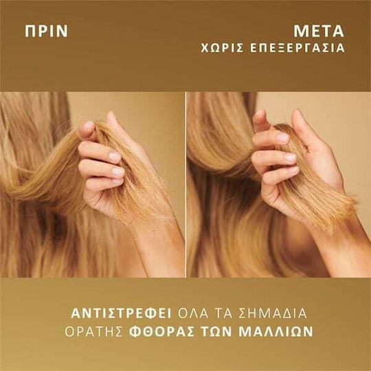 Pantene Σαμπουάν Αναδόμησης/Θρέψης για Ταλαιπωρημένα Μαλλιά 250ml