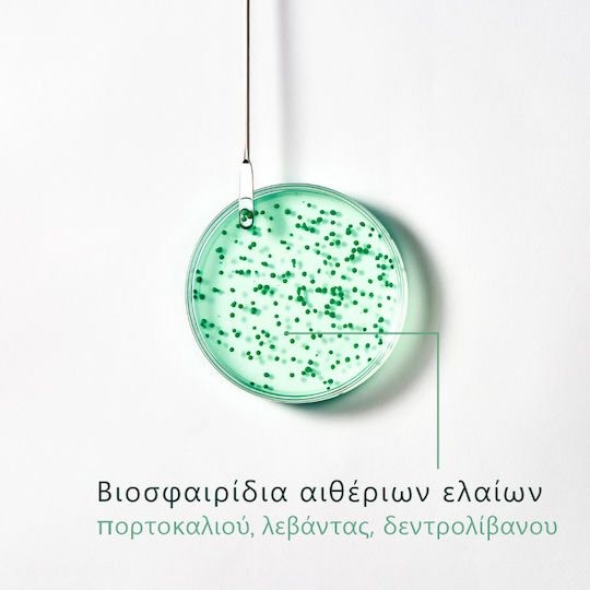 Rene Furterer Forticea Σαμπουάν Αναδόμησης/Θρέψης & Λάμψης 500ml