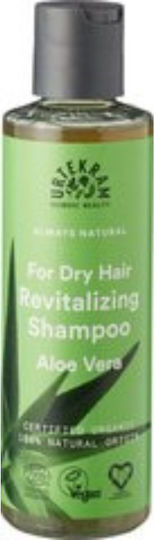 Urtekram Aloe Vera Anti-Dandruff Σαμπουάν κατά της Πιτυρίδας για Κανονικά Μαλλιά 250ml