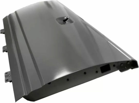 Tailgate Door Car for Isuzu Campo Handle