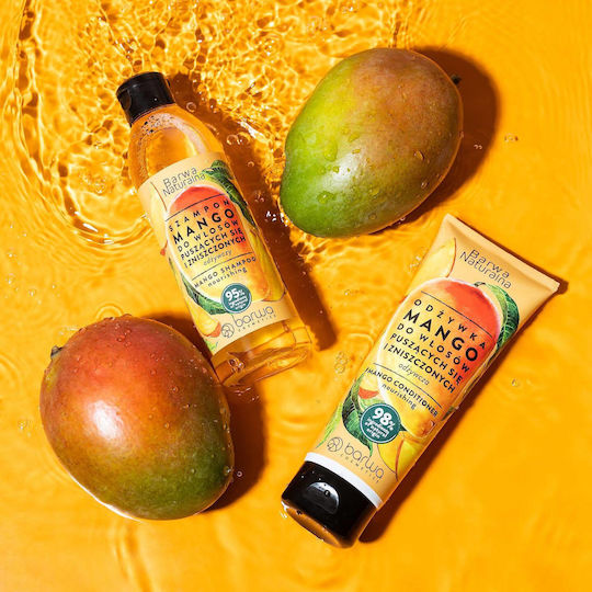 Barwa Mango Σαμπουάν Αναδόμησης/Θρέψης & Διατήρησης Χρώματος για Βαμμένα Μαλλιά 300ml