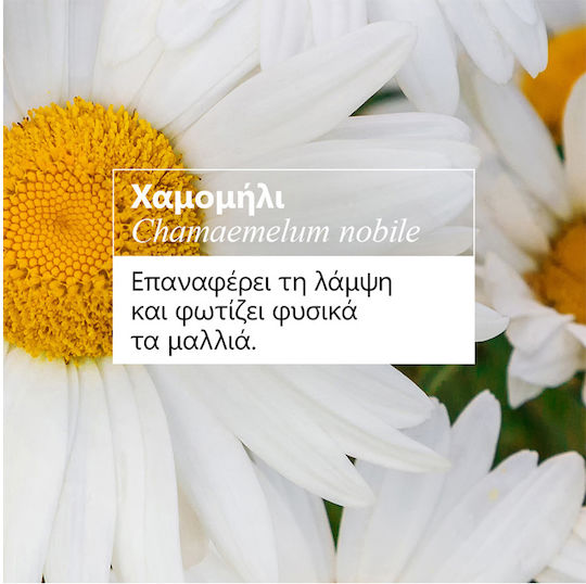 Klorane Camomille Шампоан За Обем И Запазване На Цвета За Оцветени Коса 400ml