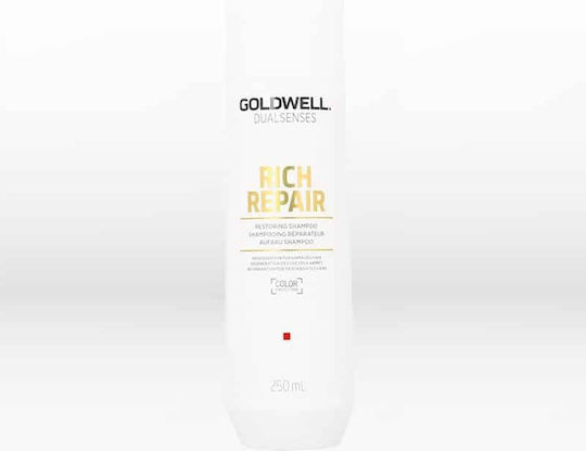 Goldwell Dualsenses Rich Shampoos Tiefenreinigung & Glanz für Beschädigt Haare 250ml