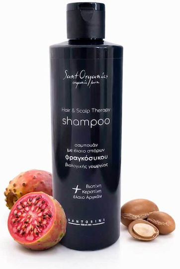 SantOrganics Σαμπουάν κατά της Πιτυρίδας & της Τριχόπτωσης για Ταλαιπωρημένα Μαλλιά 250ml