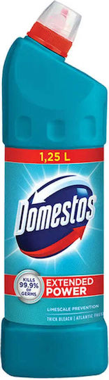 Domestos Gel Καθαρισμού Λεκάνης 1.25lt