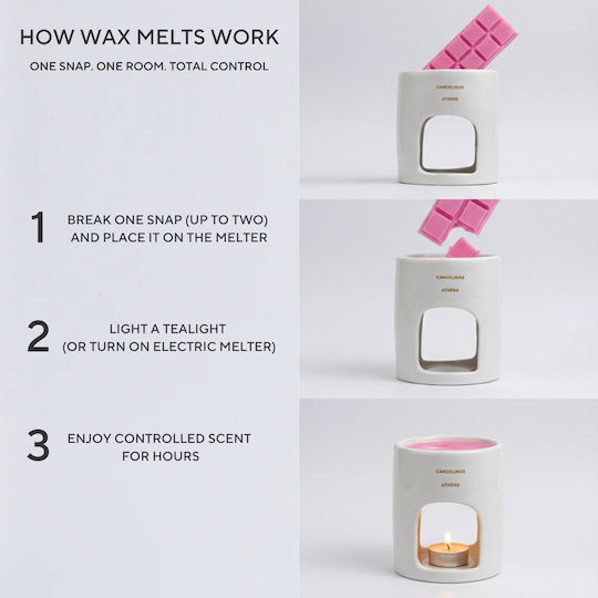 Candelinas Fragrance Wax Melt with Fragrance Bookshop 1pcs 55gr