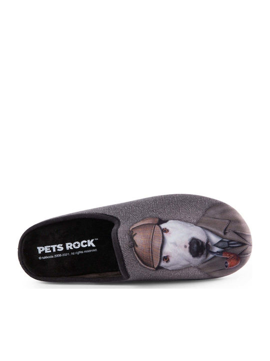 Pets Rock
