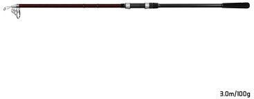 Delphin Scroll Telecarp Lansetă Pescuit Telescopică pentru Casting / Pescuitul la Crap 3m - 235gr