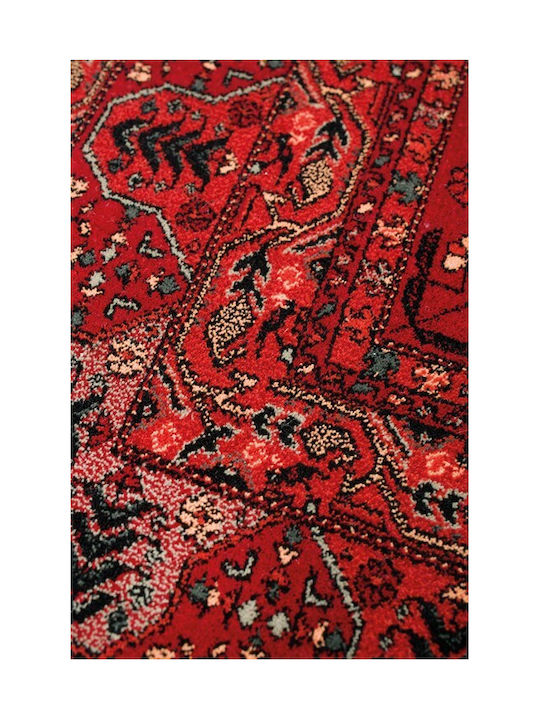 Viokarpet Kayam 4302 300-200x300