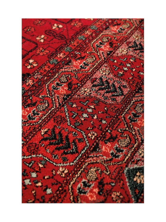 Viokarpet Kayam 4302 300-200x300
