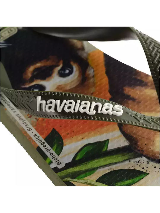 Ipe Women's Flip Flops in Khaki Color