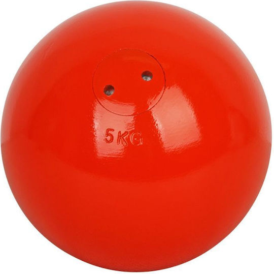 Maxwel Pilates Ball 5kg in Gray Farbe