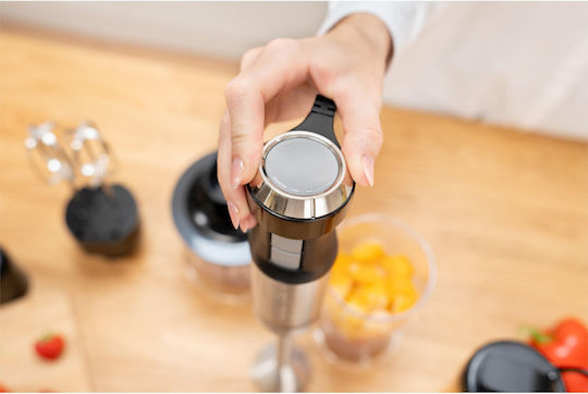 Zelmer Vario Blender De Mână Cu Tijă Din Inox 1800W Gri