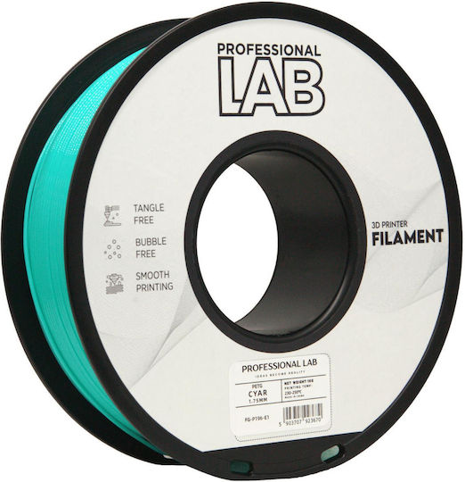 Petg Filament 3D Drucker Professionell Labor 1 Kg 1.75 Mm Cyan Blau