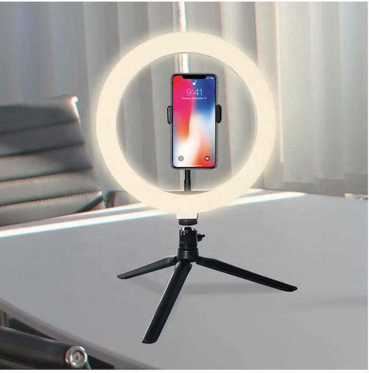 Ringlicht LED 20cm Durchmesser Usb 3 Lichtmodi 10 Einstellungsstufen Handyhalterung