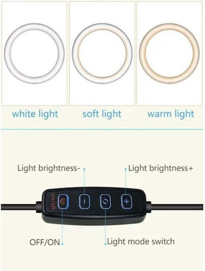 Ringlicht LED 20cm Durchmesser Usb 3 Lichtmodi 10 Einstellungsstufen Handyhalterung