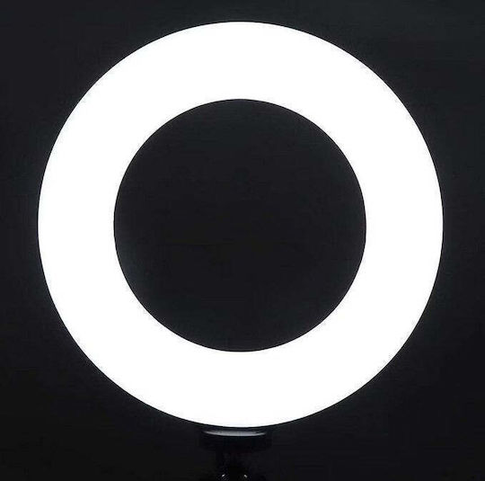 Ring Light Led 15cm Diameter Usb 3 Light Modes