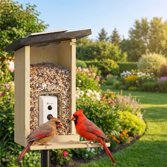 Birdfy Vogel Futterautomat Ai Kamera Ip66 Wasserdicht Solar Panel Braun Beige