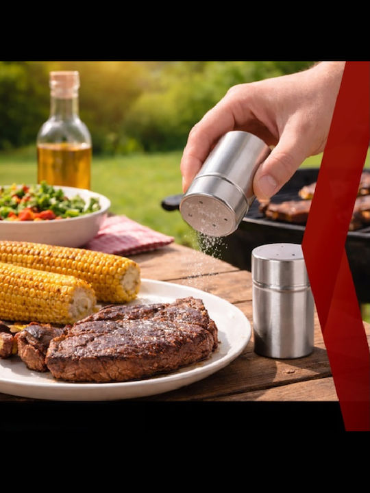 Set 26 Grill Utensils Premium Stainless Steel Grill Accessories Includes Brushes Tongs Knives Spatula Skewers Corn Holders Forks Salt Shakers Padded Aluminum Carrying Bag Dimensions 43 X 27 X 8 Cm Silver