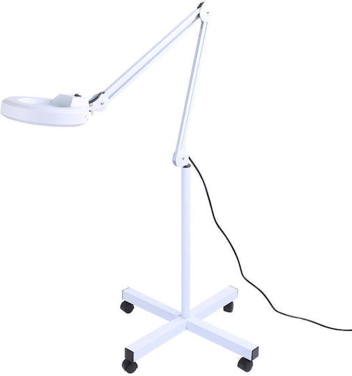 Professional Cosmetic Led Lamp Magnifier Cool Light 5x Wheels