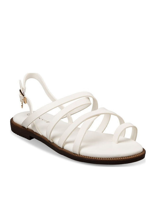 Envie Shoes Envie Shoes