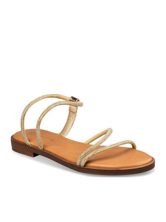 Envie Shoes Envie Shoes