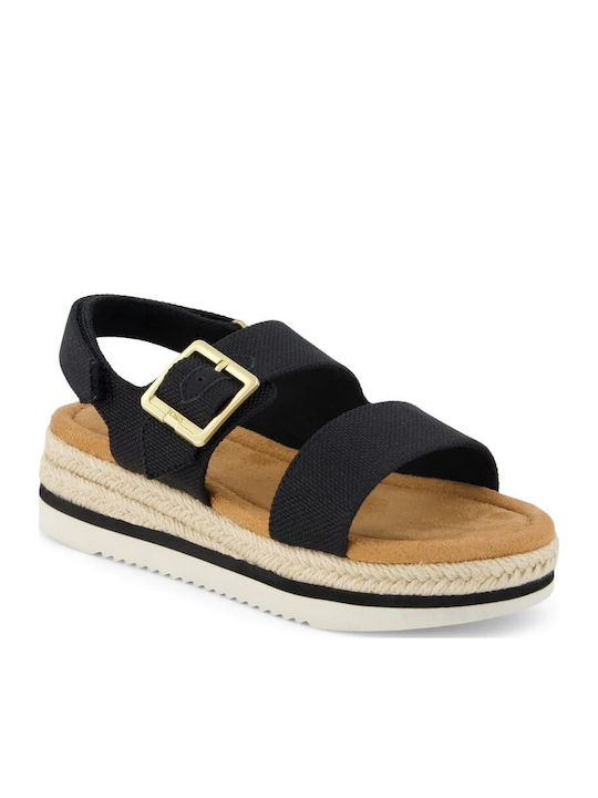 Toms Toms