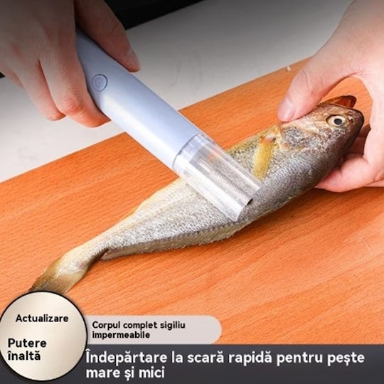 Απολεπιστής Ψαριού από Ανοξείδωτο Ατσάλι