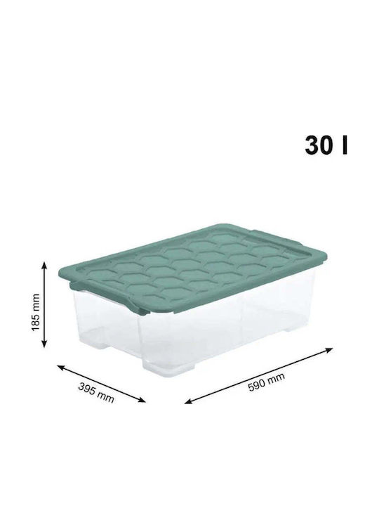 Rotho Babydesign Plastik Aufbewahrungsbox mit Deckel Transparent 30lt