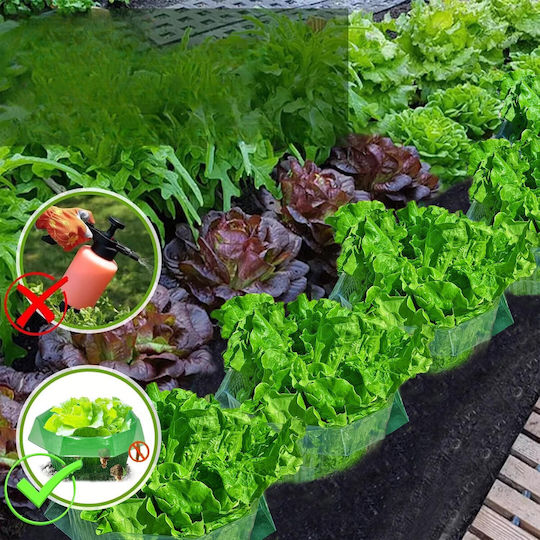 Protective Collar Shield Plants Against Snails Plastic 20 Pcs