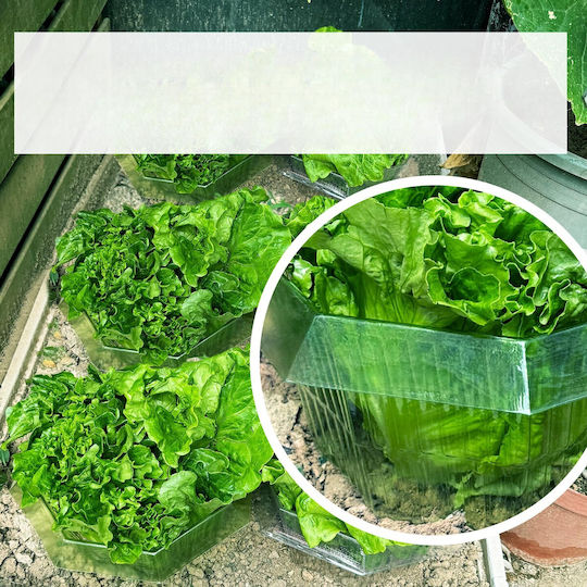 Protective Collar Shield Plants Against Snails Plastic 20 Pcs