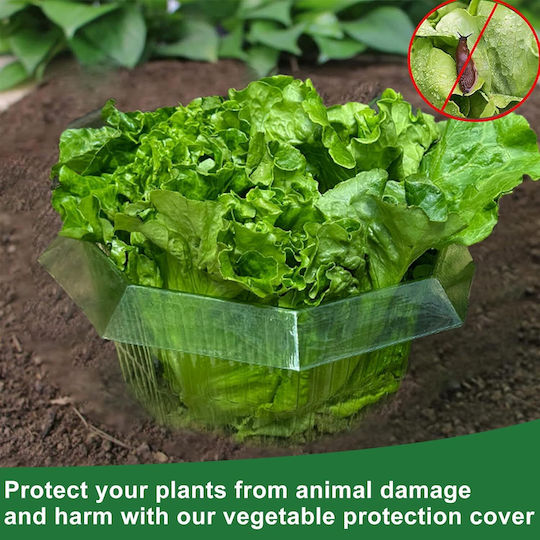 Anti-slug Collars 20 Pieces Ø 24 Cm Protecting Vegetables Plants