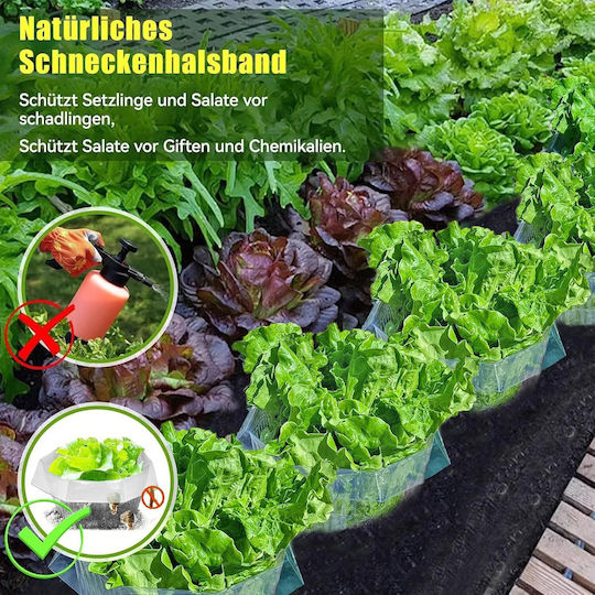 Protective Collars Against Snails 20 Pieces Effective Protection