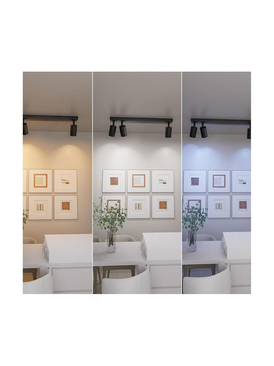 Lampa Ceiling Mount Light White