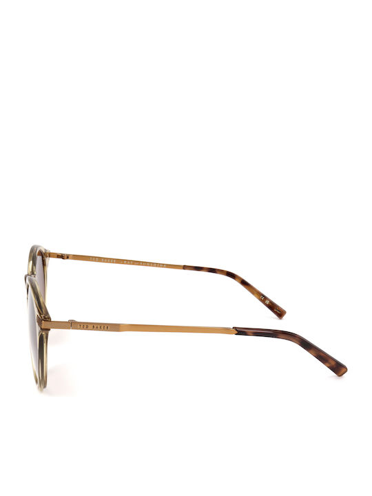 Ted Baker Men's Sunglasses with Green Frame and Brown Gradient Lenses