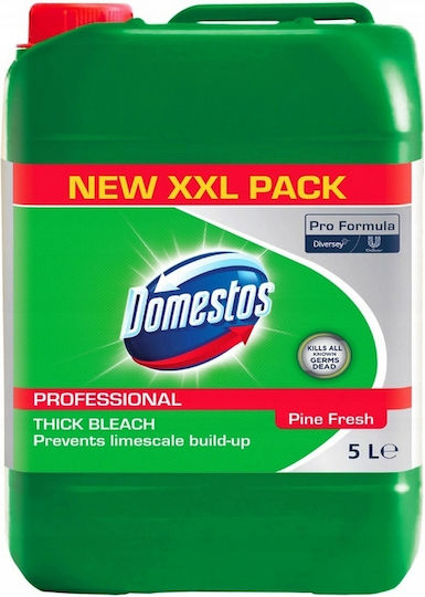 Unilever Professional Toilet Cleaning Gel with Pine Scent 5lt