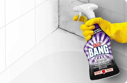 Reckitt Професионален Почистващ Спрей Против Плесен 750ml