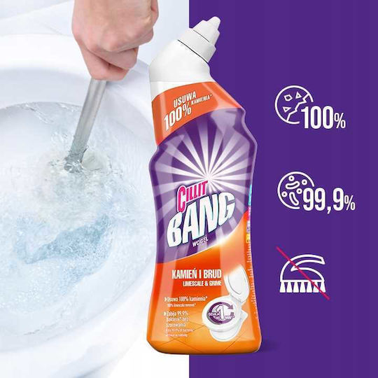 Reckitt Gel Καθαρισμού Λεκάνης με Άρωμα Φρεσκάδας 750ml