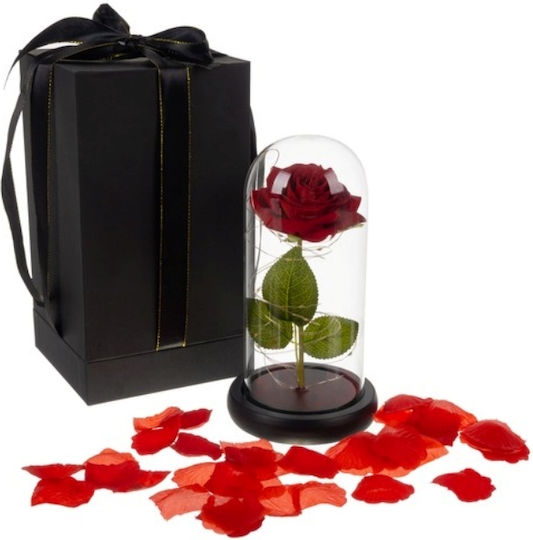 Cryopreserved Rose In Glass Dome Led Lights