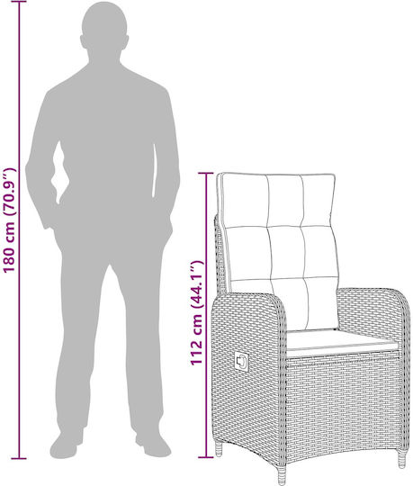 Outdoor Chair Metallic Beige and Light Grey with Cushion