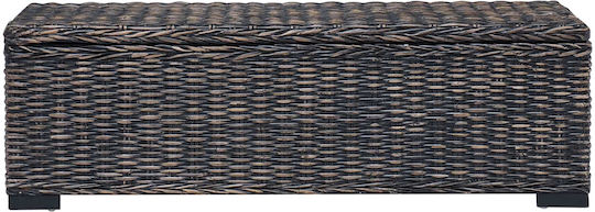 Vidaxl Кутия За Съхранение Черна 110 X 35 X 45 См