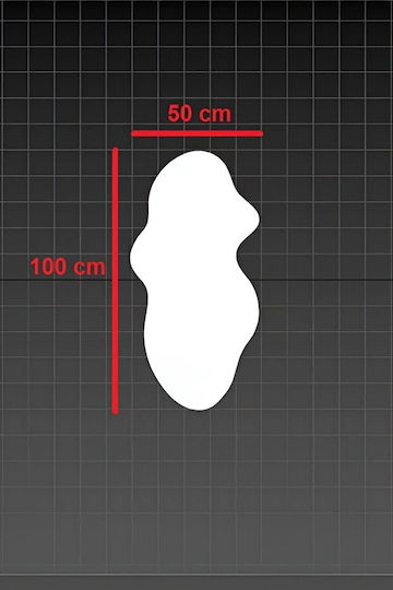 SteweHome STE-009879-P9879 Καθρέπτης Ασύμμετρος 100x50cm SteweHome STE-009879-P9879 Καθρέπτης Ασύμμετρος 100x50cm