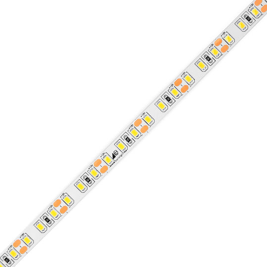LED-Streifen Light 12V Rotes Licht 1m SMD2835 Typ