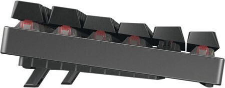 Cherry MX 8.2 Безжична Гейминг Механична Клавиатура Tenkeyless с RGB Осветление Английски US