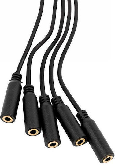Shelly Pill Splitter 1 To 5 3.5mm Jack