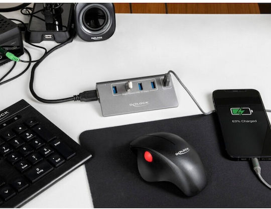 DeLock USB Hub 10 Ports USB 3.2 with USB-A Connection Gray