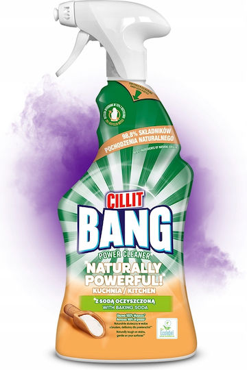 Reckitt Καθαριστικό Spray για Λίπη 750ml