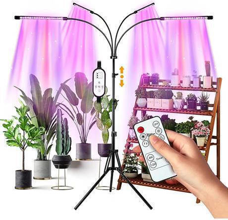 Lămpi Decorative Pentru Masă LED