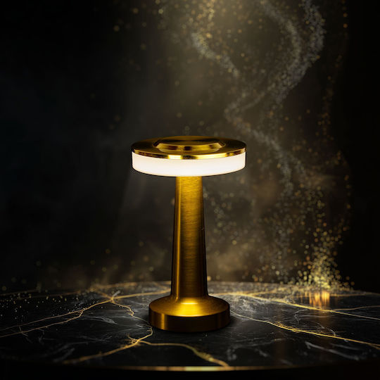 Decorative Table Lamp